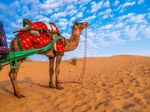 Jaisalmer